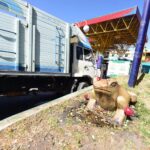 El sector del transporte es el que consume mayor energía, principalmente combustibles